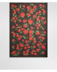 Dolce & Gabbana - 135X200 Rose-Print Cashmere Blend Stole - Lyst