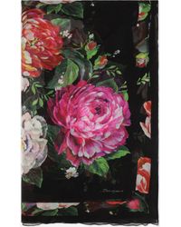Dolce & Gabbana Écharpe 120 x 200 en soie à imprimé fleurs picturales - Multicolore