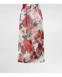 Dolce & Gabbana - Rose- Chiffon Calf-Length Skirt - Lyst