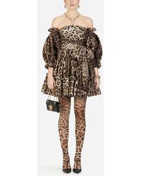 Dolce & Gabbana Short Leopard-print Taffeta Dress - Multicolour
