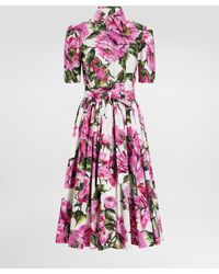 Dolce & Gabbana - Vestido Camisero Longuette De Algodón Con Estampado De Peonías - Lyst