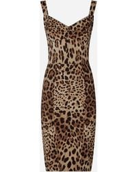 Dolce & Gabbana - Leopard-Print Cady Corset-Style Midi Dress - Lyst