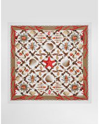 Dolce & Gabbana - Shell-Print Silk Scarf - Lyst