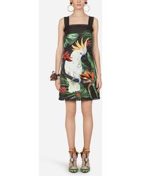 Dolce & Gabbana Short Dress In Raffia Jacquard With Parrot - Grün