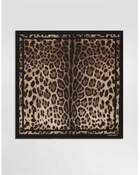Dolce & Gabbana - Leopard- Silk Twill Scarf 70X70 - Lyst