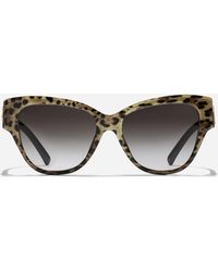 Dolce & Gabbana - 「Dgロゴ」 サングラス - Lyst