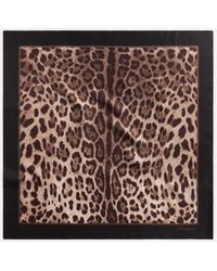 Dolce & Gabbana Foulard De Seda Con Estampado De Leopardo - Multicolor