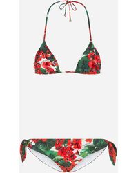 Dolce & Gabbana Portofino-print Bikini With 3d Embroidery - Red