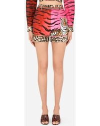 Dolce & Gabbana Tiger-print Poplin Shorts - Multicolour