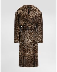 Dolce & Gabbana - Double-Breasted Leo- Cotton Drill Coat - Lyst