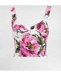 Dolce & Gabbana - Top Bustier De Algodón Con Estampado De Peonías - Lyst