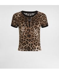 Dolce & Gabbana - Leo- Jersey T-Shirt - Lyst