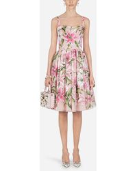 Dolce & Gabbana Flocked Organza Midi Dress With Sweetheart Neck - Pink