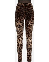 Dolce & Gabbana - Leggings - Lyst