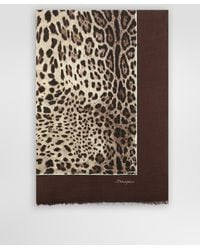 Dolce & Gabbana - Leopard-Print Modal And Cashmere Scarf (135X200) - Lyst