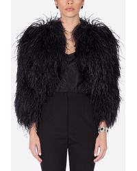Dolce & Gabbana Ostrich Feather Bolero - Noir