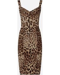 Dolce & Gabbana - Leopard-Print Cady Corset-Style Midi Dress - Lyst