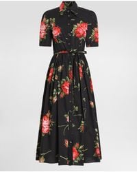 Dolce & Gabbana - Robe-Chemisier En Popeline À Imprimé Bouquet De Roses - Lyst