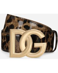 Dolce & Gabbana - Cintura in pelle di vitello lucida stampa leo con logo DG - Lyst