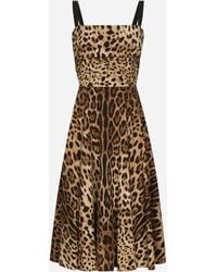 Dolce & Gabbana - Leopard-Print Cady Wrap Dress - Lyst