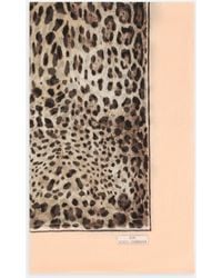 Dolce & Gabbana - Kim Dolce&Gabbana Silk Leopard Print Scarf - Lyst