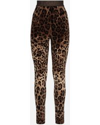Dolce & Gabbana - Leggings - Lyst