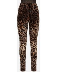 Dolce & Gabbana - Leggings - Lyst