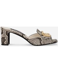 Dolce & Gabbana - Python Skin Mules - Lyst
