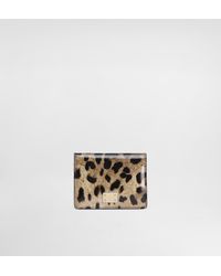 Dolce & Gabbana - Geldbörse Aus Glänzendem Kalbsleder Mit Leopardenmuster-Aufdruck - Lyst