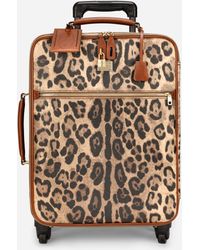 Dolce \u0026 Gabbana Luggage and suitcases for Women - Up to 31% off | Lyst