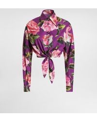 Dolce & Gabbana - Bluse Mit Schleife Aus Baumwolle Rosenprint - Lyst