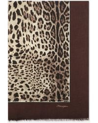 Dolce & Gabbana - Leopard-Print Modal And Cashmere Scarf (135X200) - Lyst