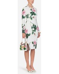 Dolce & Gabbana Cady Fabric Tropical Rose Print Midi Dress - Multicolour