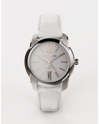 Dolce & Gabbana Uhr Dg7 Aus Stahl Und Gold - Mettallic