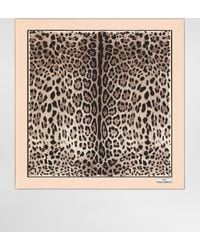 Dolce & Gabbana - Kim Dolce&Gabbana Silk Leopard Print Scarf - Lyst