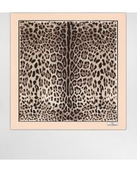 Dolce & Gabbana - Schal 135 X 200 Aus Modal Und Kaschmir Mit Leopardenmuster-Aufdruck - Lyst