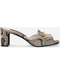 Dolce & Gabbana - Python Skin Mules - Lyst