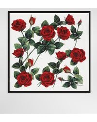 Dolce & Gabbana - Logo Rose Print Silk Foulard - Lyst
