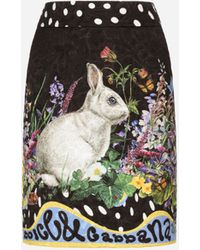 Dolce & Gabbana Minigonna in broccato stampa conigli - Multicolore