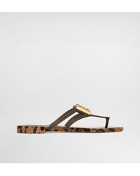 Dolce & Gabbana - Rubber Beachwear Slides With Logo And Leo - Lyst