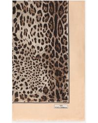 Dolce & Gabbana Schal 135 x 200 aus Modal und Kaschmir mit Leopardenmuster-Aufdruck - Schwarz