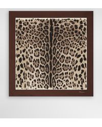 Dolce & Gabbana - Scarfs - Lyst