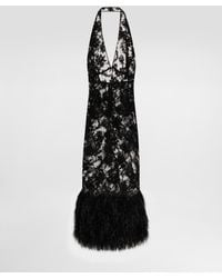 Dolce & Gabbana - Lace Dress With Ostrich Feathers - Lyst