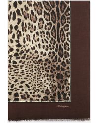 Dolce & Gabbana - Leopard-Print Modal And Cashmere Scarf (135X200) - Lyst