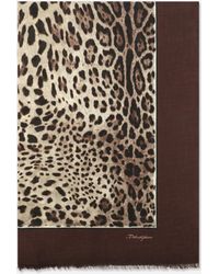 Dolce & Gabbana - ストール 135Ｘ200 モダール＆カシミア レオパードプリント - Lyst