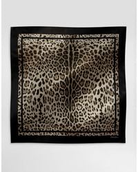 Dolce & Gabbana - Leopard- Silk Twill Foulard (90X90) - Lyst