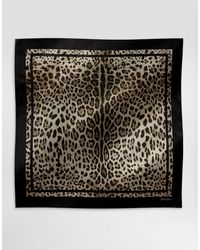 Dolce & Gabbana - Leopard- Silk Twill Foulard (90X90) - Lyst