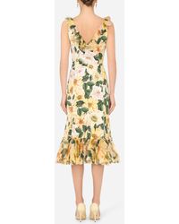 dolce and gabbana summer dresses