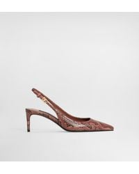 Dolce & Gabbana - Slingbacks En Python - Lyst