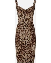 Dolce & Gabbana - Leopard-Print Cady Corset-Style Midi Dress - Lyst